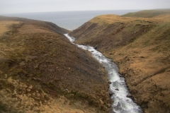 Maí 2011